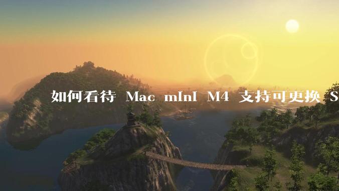 如何看待 Mac mini M4 支持可更换 SSD？
