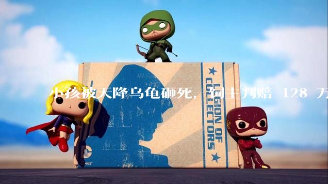 小孩被天降乌龟砸死，饲主判赔 128 万，如何从法律角度进行解读？