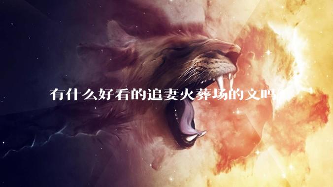 有什么好看的追妻火葬场的文吗？