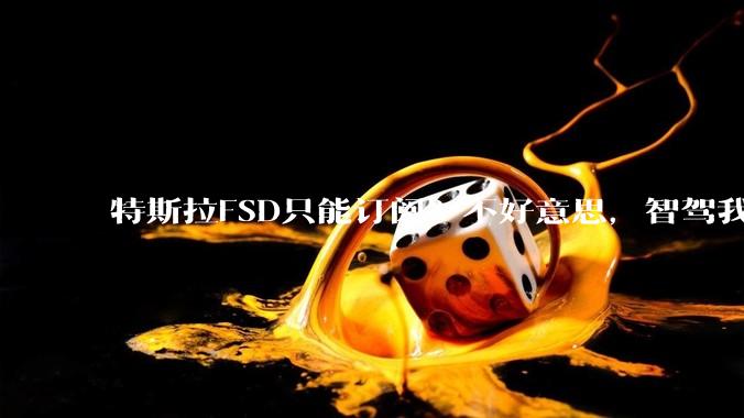 特斯拉FSD只能订阅？不好意思，智驾我都不想掏钱。_马斯克_车主_理想