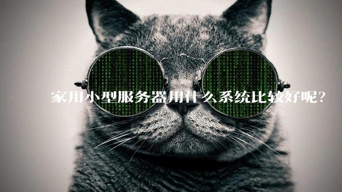 家用小型服务器用什么系统比较好呢？