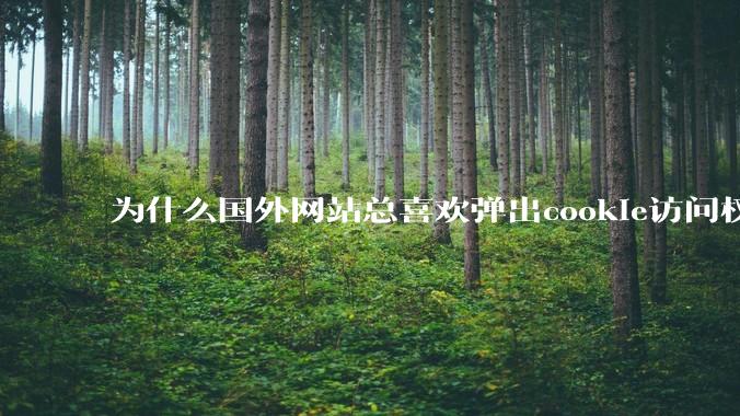 为什么国外网站总喜欢弹出cookie访问权限弹窗，国内网站却没有，这么做有什么意义？